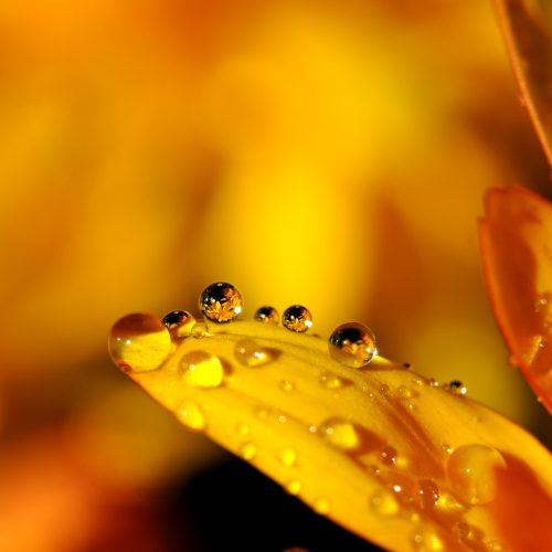 Les questions - Macro